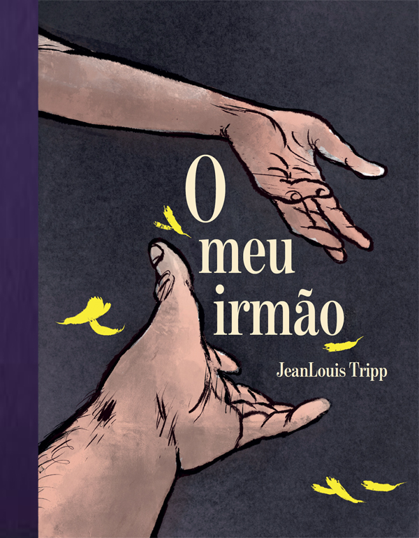 aladoslivros-capa-omeuirmao